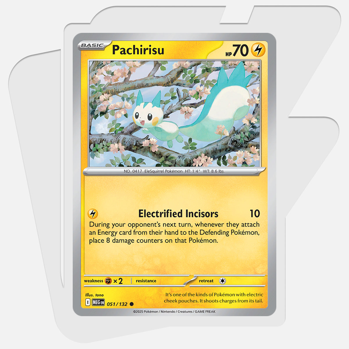 Pachirisu (MEG 051)